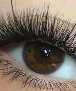 Lash Tint